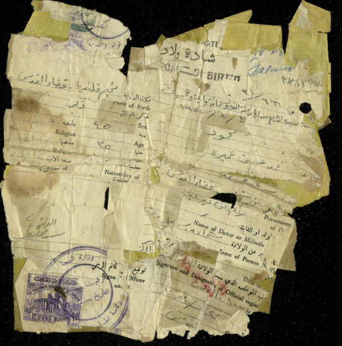 Wa'arah Family Tree, June 1999