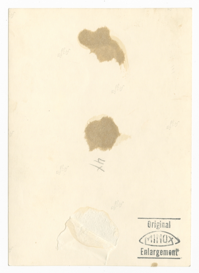 ضابط في هيئة الأمم المتحدة وعائلته قرب بوابة مندلبوم برفقة مسؤول البوابة