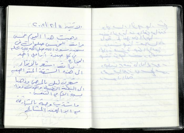 Omar Amira's Diary, 11 February 2002 