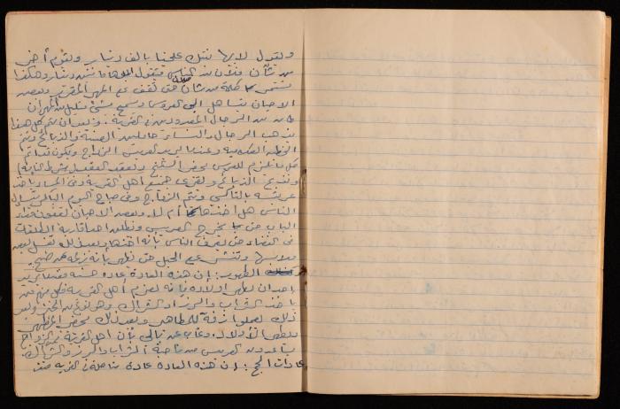A Report on the Town of Dayr Dibwan, Muhammad Hammoudeh, the Late 1950s and Early 1960s 