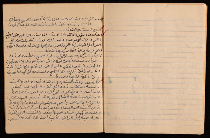 A Report on the Town of Dayr Dibwan, Muhammad Hammoudeh, the Late 1950s and Early 1960s 