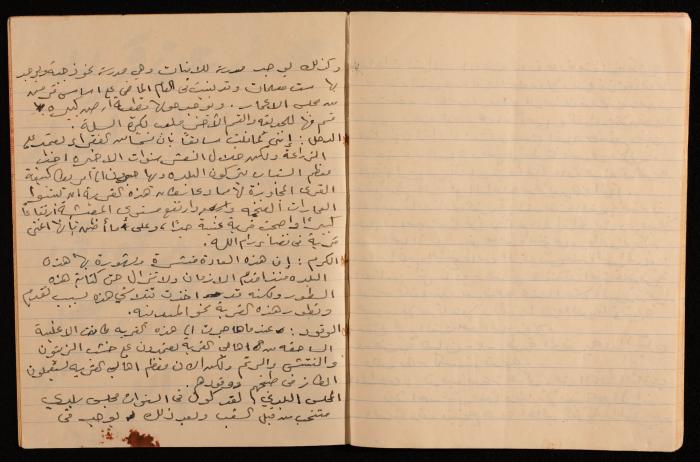 A Report on the Town of Dayr Dibwan, Muhammad Hammoudeh, the Late 1950s and Early 1960s 
