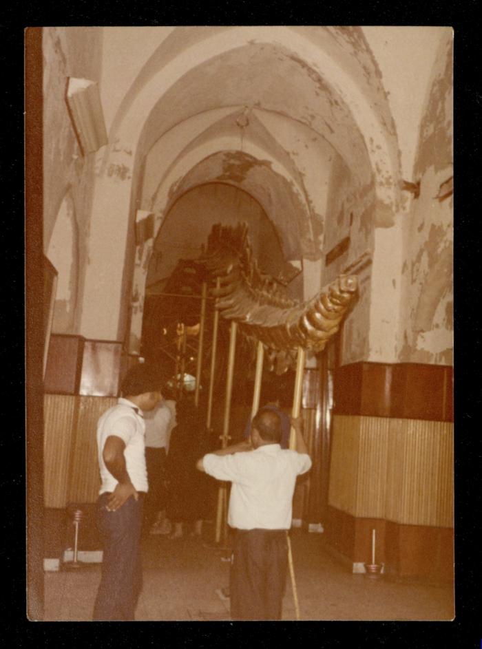 Mahmoud as-Safa at the Alexandria National Museum, 1981
