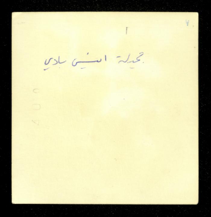 A Portrait of Jamila Anis al-Badi