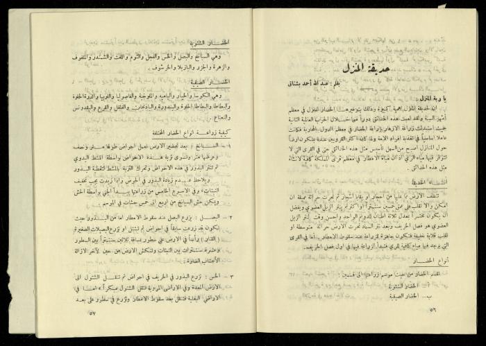 العدد الخامس من مجلة الزراعة الأردنية، شباط 1958