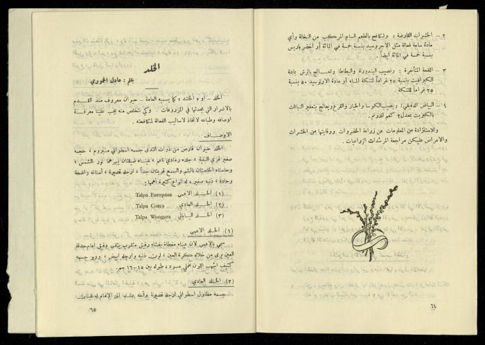 العدد الخامس من مجلة الزراعة الأردنية، شباط 1958