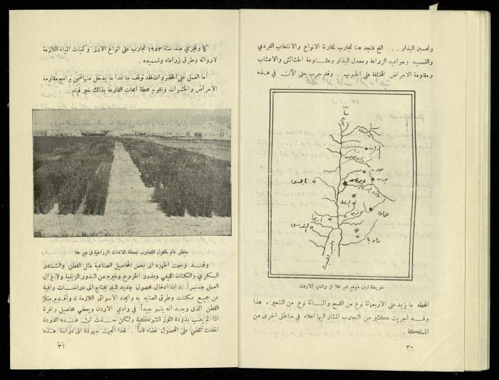 العدد الخامس من مجلة الزراعة الأردنية، شباط 1958