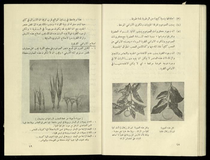 العدد الخامس من مجلة الزراعة الأردنية، شباط 1958