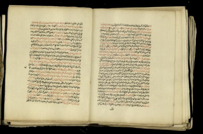 A Book in Explaining and Clarifying Marital Relations According to the Islamic Sharia, May 1864