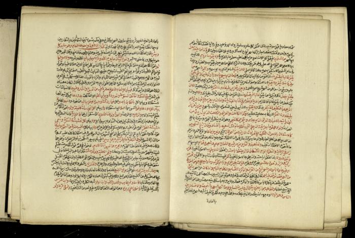 A Book in Explaining and Clarifying Marital Relations According to the Islamic Sharia, May 1864