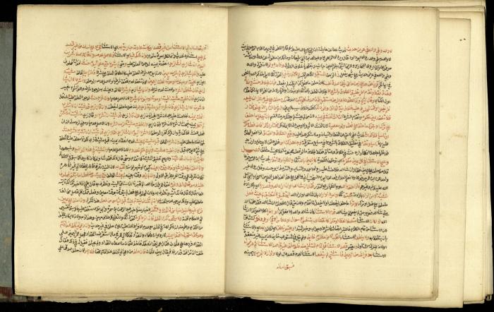 A Book in Explaining and Clarifying Marital Relations According to the Islamic Sharia, May 1864