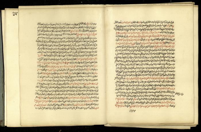 A Book in Explaining and Clarifying Marital Relations According to the Islamic Sharia, May 1864