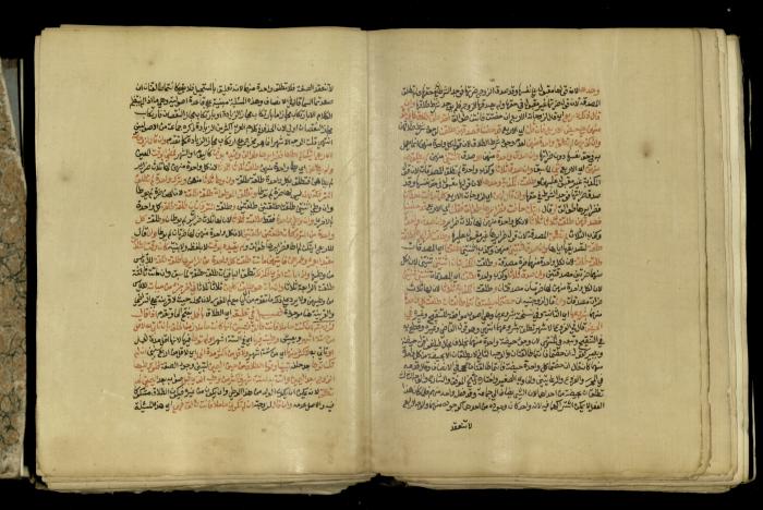 A Book in Explaining and Clarifying Marital Relations According to the Islamic Sharia, May 1864