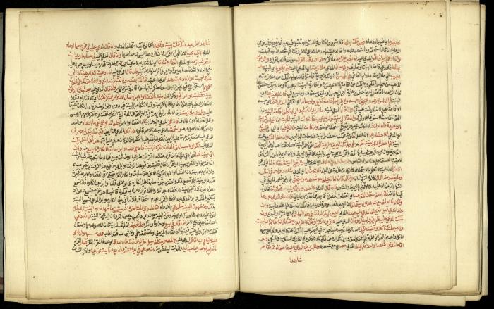 A Book in Explaining and Clarifying Marital Relations According to the Islamic Sharia, May 1864