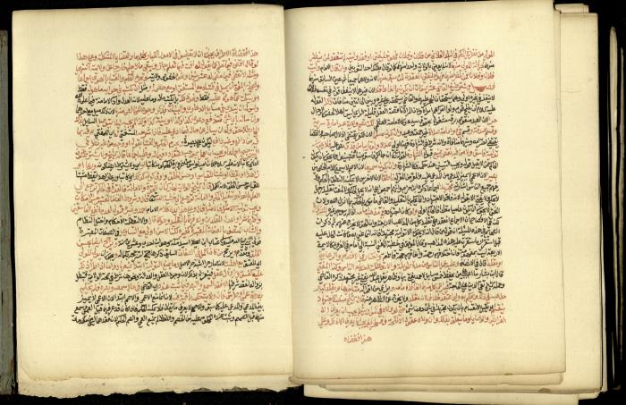 A Book in Explaining and Clarifying Marital Relations According to the Islamic Sharia, May 1864