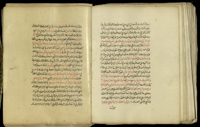 A Book in Explaining and Clarifying Marital Relations According to the Islamic Sharia, May 1864