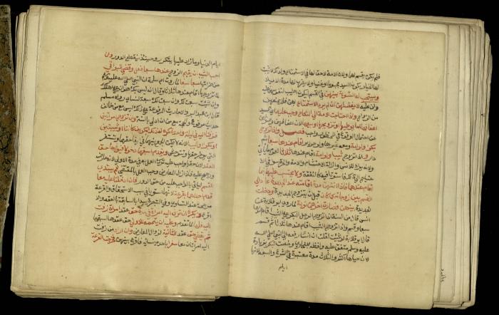 A Book in Explaining and Clarifying Marital Relations According to the Islamic Sharia, May 1864