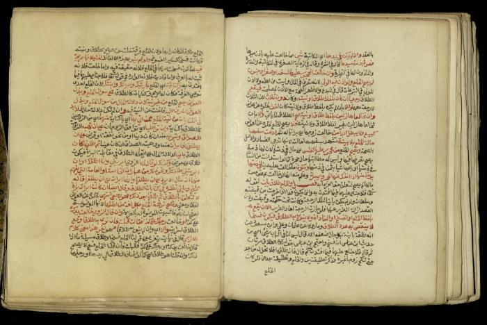 A Book in Explaining and Clarifying Marital Relations According to the Islamic Sharia, May 1864
