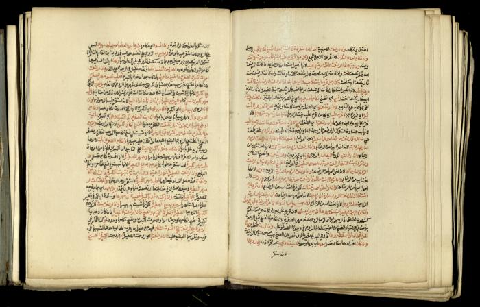 A Book in Explaining and Clarifying Marital Relations According to the Islamic Sharia, May 1864