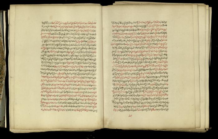 A Book in Explaining and Clarifying Marital Relations According to the Islamic Sharia, May 1864