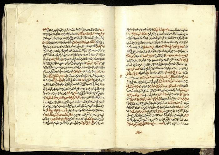 كتاب في شرح وتوضيح أحكام الصلاة والوضوء وفقًا لأحكام الشريعة الاسلامية، القرن التاسع عشر 