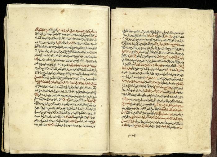 كتاب في شرح وتوضيح أحكام الصلاة والوضوء وفقًا لأحكام الشريعة الاسلامية، القرن التاسع عشر 