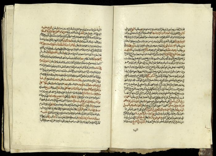 كتاب في شرح وتوضيح أحكام الصلاة والوضوء وفقًا لأحكام الشريعة الاسلامية، القرن التاسع عشر 