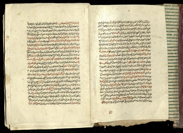 كتاب في شرح وتوضيح أحكام الصلاة والوضوء وفقًا لأحكام الشريعة الاسلامية، القرن التاسع عشر 