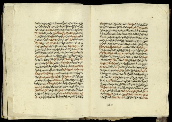 كتاب في شرح وتوضيح أحكام الصلاة والوضوء وفقًا لأحكام الشريعة الاسلامية، القرن التاسع عشر 