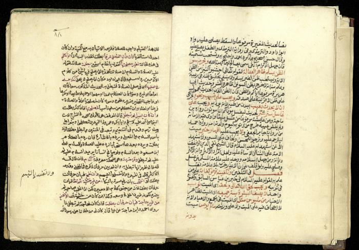 كتاب في شرح وتوضيح أحكام الصلاة والوضوء وفقًا لأحكام الشريعة الاسلامية، القرن التاسع عشر 