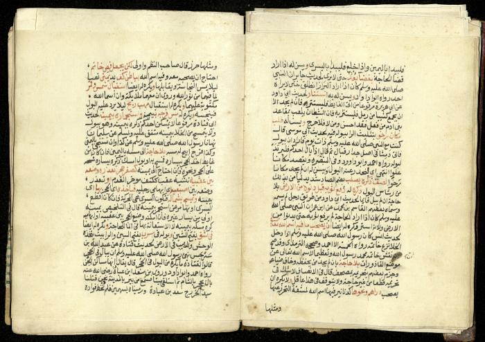 كتاب في شرح وتوضيح أحكام الصلاة والوضوء وفقًا لأحكام الشريعة الاسلامية، القرن التاسع عشر 