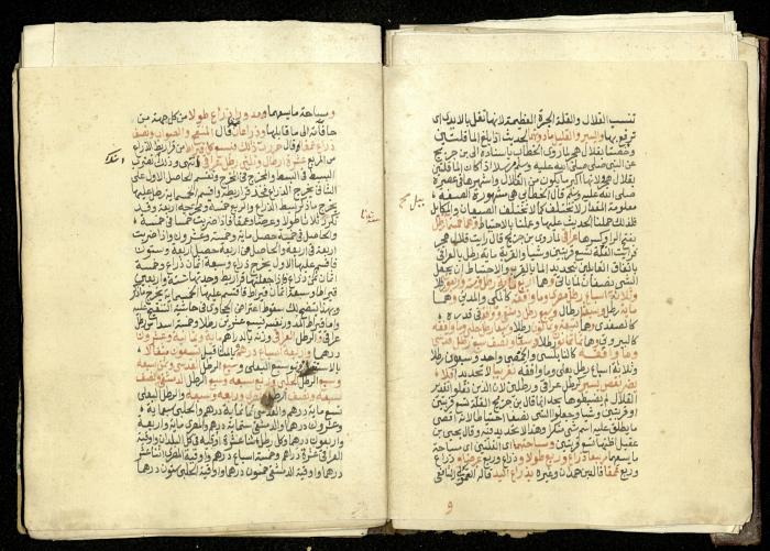 كتاب في شرح وتوضيح أحكام الصلاة والوضوء وفقًا لأحكام الشريعة الاسلامية، القرن التاسع عشر 