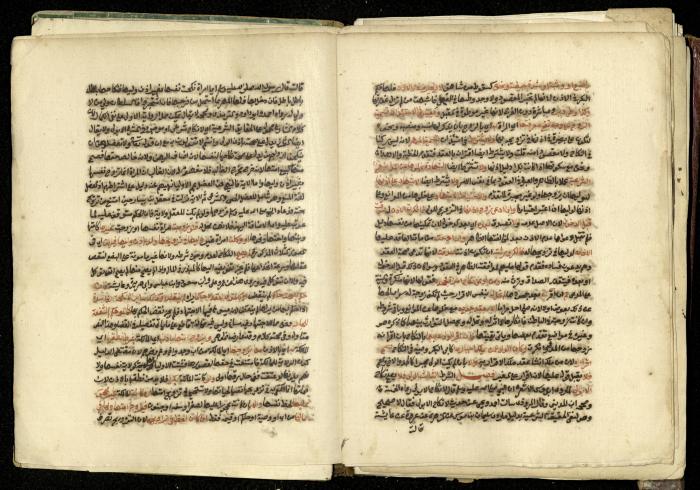 كتاب في شرح وتوضيح أحكام الصلاة والوضوء وفقًا لأحكام الشريعة الاسلامية، القرن التاسع عشر 