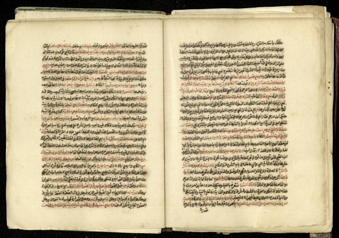 كتاب في شرح وتوضيح أحكام الصلاة والوضوء وفقًا لأحكام الشريعة الاسلامية، القرن التاسع عشر 