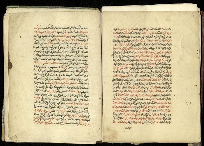 كتاب في شرح وتوضيح أحكام الصلاة والوضوء وفقًا لأحكام الشريعة الاسلامية، القرن التاسع عشر 