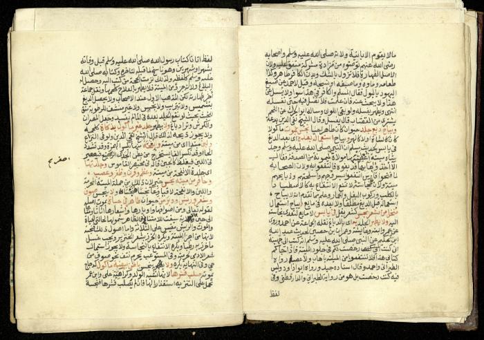كتاب في شرح وتوضيح أحكام الصلاة والوضوء وفقًا لأحكام الشريعة الاسلامية، القرن التاسع عشر 