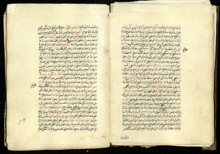 كتاب في شرح وتوضيح أحكام الصلاة والوضوء وفقًا لأحكام الشريعة الاسلامية، القرن التاسع عشر 