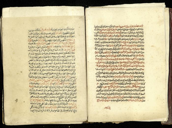 كتاب في شرح وتوضيح أحكام الصلاة والوضوء وفقًا لأحكام الشريعة الاسلامية، القرن التاسع عشر 