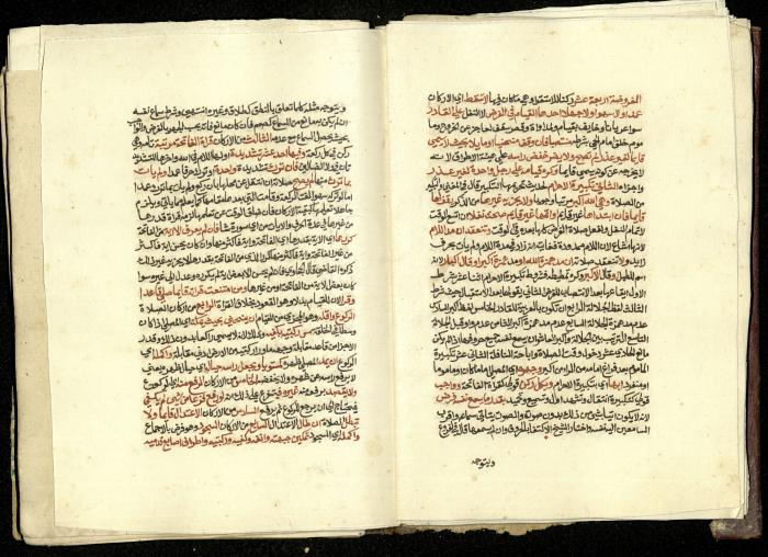كتاب في شرح وتوضيح أحكام الصلاة والوضوء وفقًا لأحكام الشريعة الاسلامية، القرن التاسع عشر 