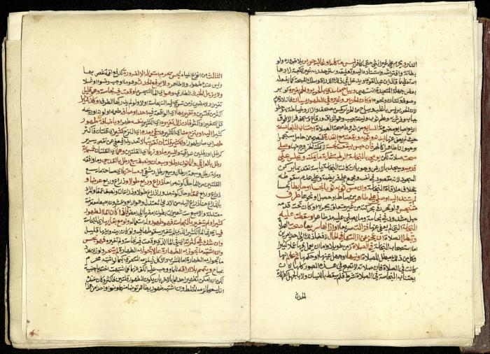 كتاب في شرح وتوضيح أحكام الصلاة والوضوء وفقًا لأحكام الشريعة الاسلامية، القرن التاسع عشر 