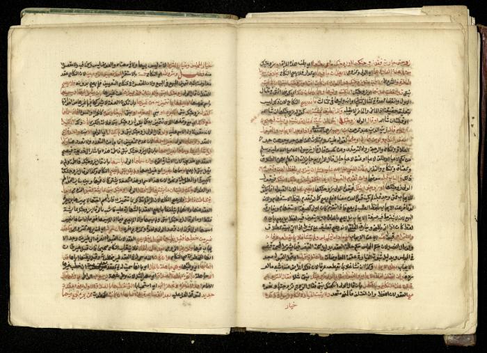 كتاب في شرح وتوضيح أحكام الصلاة والوضوء وفقًا لأحكام الشريعة الاسلامية، القرن التاسع عشر 