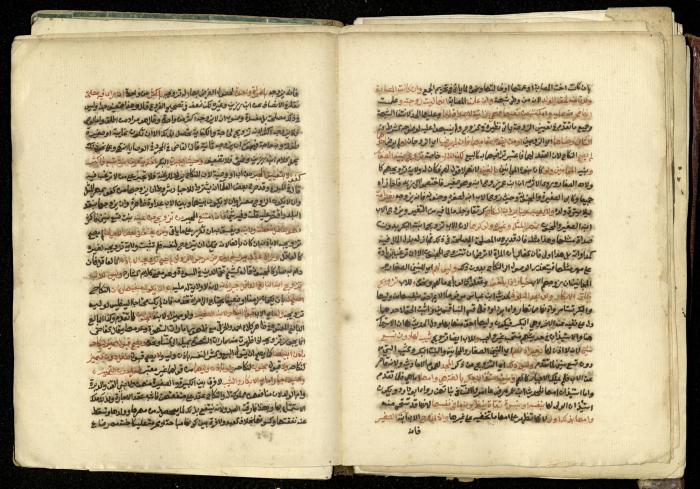 كتاب في شرح وتوضيح أحكام الصلاة والوضوء وفقًا لأحكام الشريعة الاسلامية، القرن التاسع عشر 