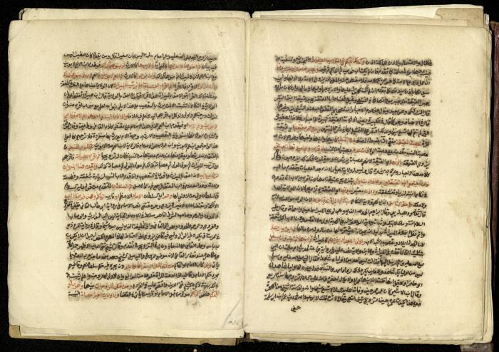 كتاب في شرح وتوضيح أحكام الصلاة والوضوء وفقًا لأحكام الشريعة الاسلامية، القرن التاسع عشر 