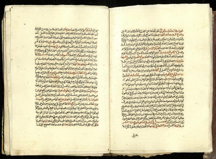 كتاب في شرح وتوضيح أحكام الصلاة والوضوء وفقًا لأحكام الشريعة الاسلامية، القرن التاسع عشر 
