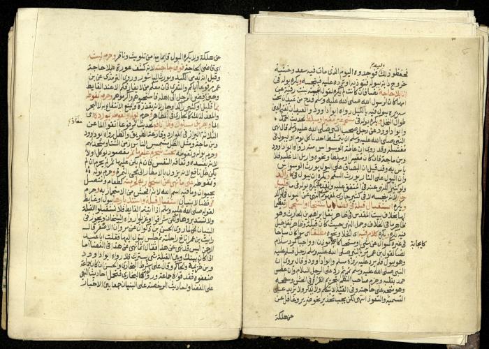 كتاب في شرح وتوضيح أحكام الصلاة والوضوء وفقًا لأحكام الشريعة الاسلامية، القرن التاسع عشر 