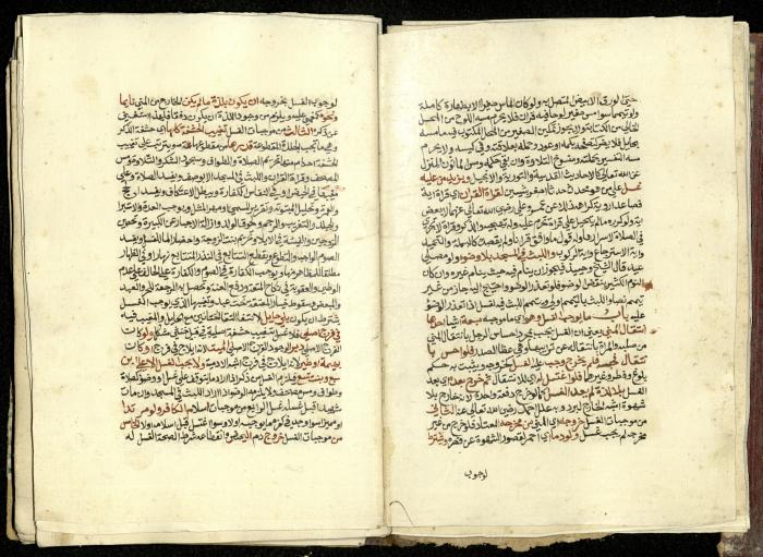 كتاب في شرح وتوضيح أحكام الصلاة والوضوء وفقًا لأحكام الشريعة الاسلامية، القرن التاسع عشر 