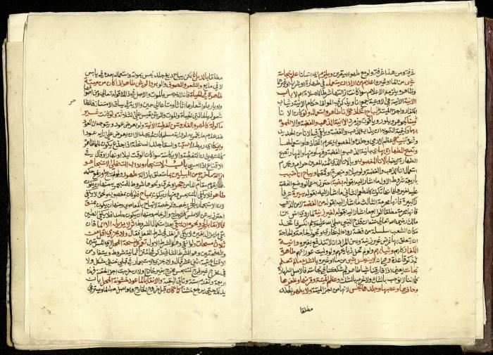 كتاب في شرح وتوضيح أحكام الصلاة والوضوء وفقًا لأحكام الشريعة الاسلامية، القرن التاسع عشر 