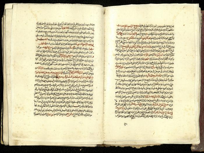 كتاب في شرح وتوضيح أحكام الصلاة والوضوء وفقًا لأحكام الشريعة الاسلامية، القرن التاسع عشر 