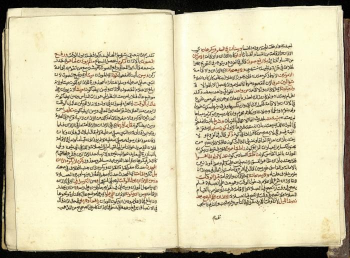 كتاب في شرح وتوضيح أحكام الصلاة والوضوء وفقًا لأحكام الشريعة الاسلامية، القرن التاسع عشر 