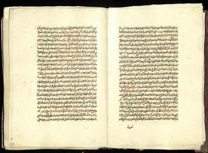كتاب في شرح وتوضيح أحكام الصلاة والوضوء وفقًا لأحكام الشريعة الاسلامية، القرن التاسع عشر 